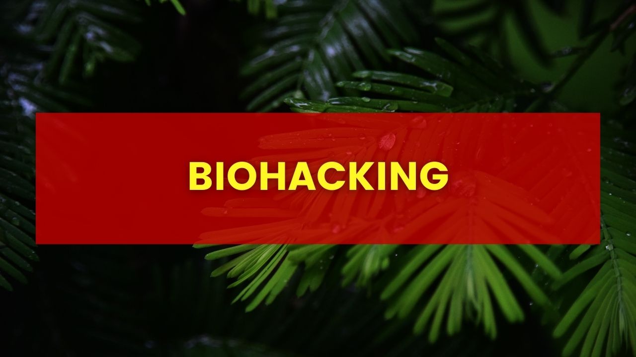 Czym jest biohacking?