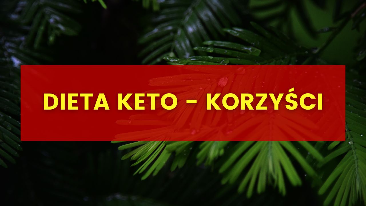 Dieta keto – hit, czy kit?